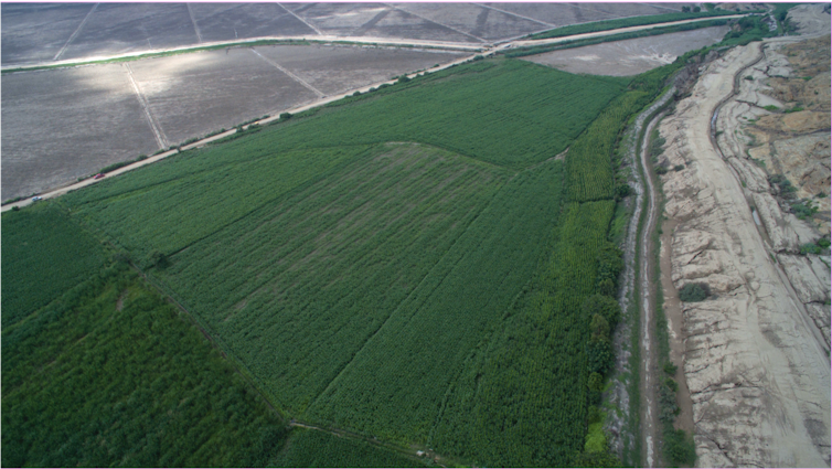 Vista de um campo com canais em dois lados.